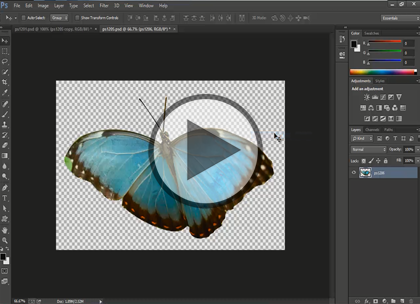 Photoshop CC, Part 4: Layers, Patterns, and Styles Trailer