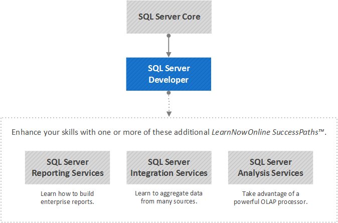 SQL Server Developer